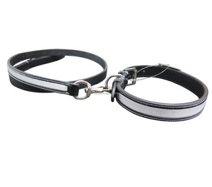 Leather <b>Dog</b> Collar and Lead Set Premium Pet Walking Accessories - Product Image 1