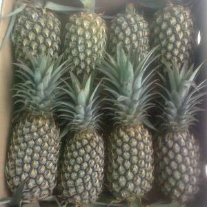 Piña Fresca de Alta Calidad de Vietnam – Sabor Dulce y Natural // Mr.Tom - Product Image 2