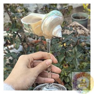 Verre à vin en coquillage naturel fait main, gobelet en coquillage, verre transparent sur pied, écologique, décoration côtière, vaisselle durable, cadeau - Product Image 1