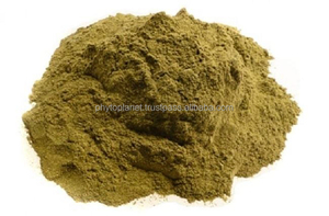 POLVO DE HOJAS DE GRAVIOLA - Product Image 1