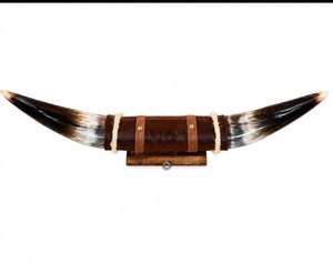 Mounted Steer Horn Set Eco-Friendly Handmade <b>Rustic</b> Modern Animal Love Polished Horns Bull Western Home Decoration Easter - Product Image 2