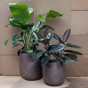 Jardinière moderne en métal, pot de fleurs décoratif pour intérieur/extérieur, minimaliste, écologique, durable, léger, pour la maison, le bureau, le jardin - Product Image 6