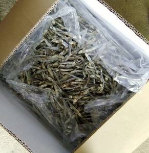 BEST SELLER <b>DRIED</b> <b>ANCHOVY</b> FISH FROM VIETNAM //Ms. Jennie (Whatsapp 84 358 485581) - Product Image 6