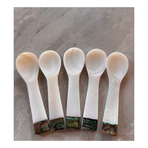 Cuillère artisanale en nacre avec manche en coquillage, écologique, non toxique, de luxe, vintage, décorative, pour servir des desserts, cadeau d'affaires, courte - Product Image 5