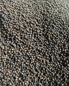 2025 Crop ALL GRADES PIMIENTA NEGRA Pimienta de Vietnam Venta al por mayor de alta calidad para exportación Precio barato Muestra gratis Envío rápido - Product Image 1