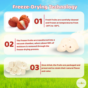 Premium FD entero Lychee dulce bajo en azúcar sin conservantes fruta tropical Snack OEM suministro con embalaje a granel - Product Image 2