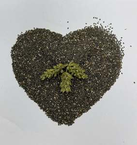 Jus de graines de chia séchées naturelles noires et blanches, faible teneur en glucides, pureté de 99,99 %, pour la distribution en gros et les programmes d'emballage OEM - Product Image 4
