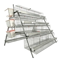 Cage à poules de type A économique pour l'élevage avicole