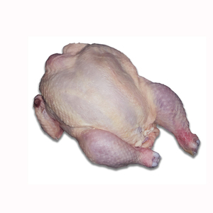 Pollo entero congelado HALAL de Alemania - Product Image 5