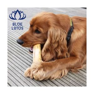 Juguete para Perros de Madera de Café 2026, Aprobado por Clientes, de Larga Duración, para Limpieza Dental y Alivio de la Ansiedad - Product Image 3