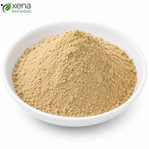 Poudre de Terminalia Bellirica de qualité supérieure, matière première standardisée pour formules ayurvédiques, vente en gros - Product Image 1