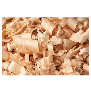 Virutas de madera de pino de calidad limpia/Aserrín de madera de pino/Polvo de madera de pino para lecho de aves y animales - Product Image 1