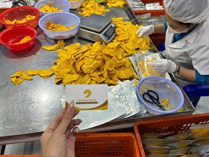 มะม่วงอบแห้งออร์แกนิก Perfect Delights ขนมขบเคี้ยวเพื่อสุขภาพสำหรับเด็กและผู้ใหญ่ - บรรจุภัณฑ์เดี่ยว - Product Image 5