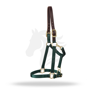 Nylon Horse <b>Halter</b> with Leather Crown Brass Hardware Adjustable Headcollar with Snap Hook - Product Image 1