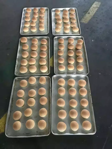 Attrezzatura per la Cottura della <span class=keywords><strong>Pizza</strong></span>, Fermentatore per <span class=keywords><strong>Impasto</strong></span>/Camera di Lievitazione con 30 Teglie - Product Image 6