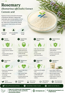 Hgo สารสกัดจากดอกโรสแมรี่ธรรมชาติบริสุทธิ์ (rosarinus officinalis) สารสกัดจากกรดคาร์โนซิค85% (สารสกัดมาตรฐาน) - Product Image 4