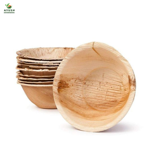 Assiettes et bols à sauce carrés en feuilles de palmier, légers et rigides, 9 pouces, vente en gros pour fêtes et pique-niques familiaux - Product Image 6