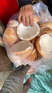 เนื้อมะพร้าวสุกธรรมชาติ คุณภาพพรีเมียม ผู้ส่งออกจากเวียดนาม สำหรับการแปรรูปอาหารน้ำนมมะพร้าว รับผลิตแบบ OEM ODM - Product Image 2