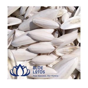 Os de Seiche de Haute Qualité, Minéraux de Calcium Purs, Absorption Rapide, Sûr pour la Santé, Vente en Gros, Exportation - Product Image 1