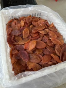[สินค้าขายดี] ผลไม้แห้งออร์แกนิคพรีเมียม มะเส็งฝานอบแห้ง เนื้อนุ่ม หวาน หนึบ ขนมขบเคี้ยว ขายส่งจำนวนมาก รับผลิตแบบ OEM ODM แบรนด์ส่วนตัว - Product Image 2