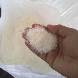 Coco Deshidratado Vietnamita con Alto Contenido de Grasa para Niños y Adultos - 100% Puro y Natural a Precio Competitivo - Product Image 4