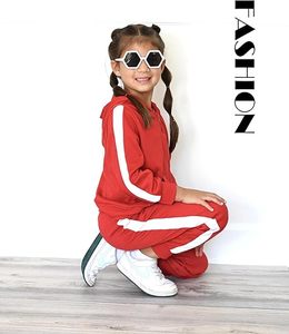 Conjunto de Sudadera con Capucha y Pantalones Deportivos de Dos Piezas con Logotipo Personalizado para Niños, Traje Deportivo para Niños y Niñas - Product Image 4