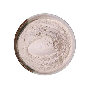 Os de seiche GIA NGUYEN de haute qualité pour oiseaux, nettoyés et taillés, exportateur direct du Vietnam - Product Image 3