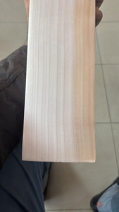 Batte de cricket en saule naturel, modèle Plain English Willow, approuvée JS, pour droitier, manche court, étui premium, durable, écologique, légère, MID LOW - Product Image 5