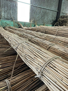 Vietnamese Natural Solid Rattan Cane Poles Round 200cm Length for Furniture Handicrafts and Weaving - Product Image 5