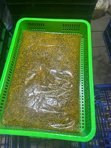 Cubes de fruit de la passion congelés 100% purs, sans eau ajoutée, fruit de la passion congelé du Vietnam pour boisson, fruit de la passion jaune pur - Product Image 6