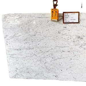 Granito Blanco Andromeda Natural Moderno, Losas Grandes Pulimentadas, Monolitos, Encimeras, Lápidas, Alta Resistencia, Vinayak Villa - Product Image 6