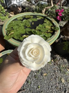 Accessories Aromatherapy 2.4 INC ROSE Bundle Replacement Handmade Dried <b>Reed</b> <b>Diffuser</b> Wood Sola Wood Flower With Custom - Product Image 6
