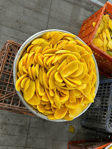 Mango Deshidratado en Rodajas 100% Natural, Procesado con Técnica AD, Sin Aditivos, Dulce, Envasado al Vacío, Venta al Por Mayor Directo de Fábrica - Product Image 2