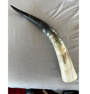 Cuerno Vikingo para Beber, Hecho a Mano con Cuerno de Buey Natural, Venta al Por Mayor - Product Image 3