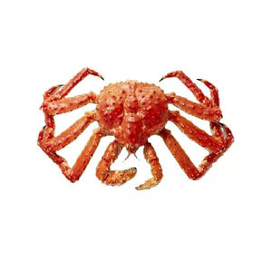 Crabes de qualité supérieure, produits de la mer en gros - Product Image 4