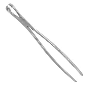 Pinzas Dentales Profesionales para Caballos, Kit Quirúrgico para Extracción de Dientes Equinos, TARIQ MFG CO - Product Image 3