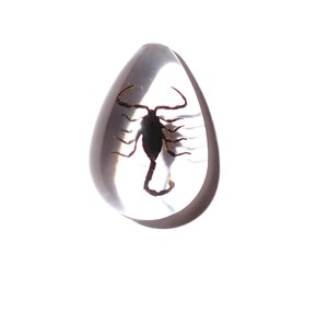 Cabochon Black Scorpion Pear Shape cut <b>top</b> 25x17 mm Clear Flat Bottom for Crafts and Jewelry Making - Product Image 6