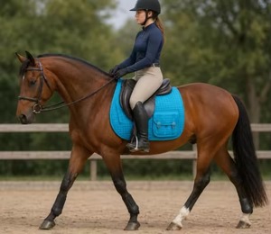 Meilleur prix du fabricant, tissu satiné, tapis de selle d'équitation, saut d'obstacles, toutes tailles et couleurs disponibles - Product Image 2