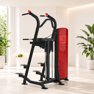 Nouvel équipement d'exercice musculaire au design innovant, appareil d'aide aux tractions et dips Qli Fitness QADM193 en métal, multifonction réglable 120 kg - Product Image 1