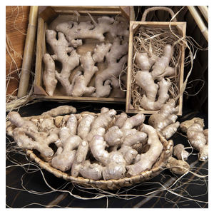 Gingembre frais de haute qualité pour la vente en gros, gingembre frais professionnel pour l'exportation, gingembre jaune 100% naturel, meilleur prix disponible - Product Image 5