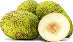 FRUITS À PAIN CONGELÉS DU VIETNAM DE QUALITÉ SUPÉRIEURE-NATURELS ET FRAIS, IDÉAUX POUR LA CUISSON, LA CUISSON ET LES COLLATIONS - Product Image 6