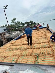 วัสดุเติมเต็มใยมะพร้าวแบบเป็นมิตรต่อสิ่งแวดล้อม Viet Argo วัสดุธรรมชาติแบบม้วน ใยมะพร้าวเวียดนาม ขายส่ง บรรจุภัณฑ์แบบกำหนดเอง - Product Image 4