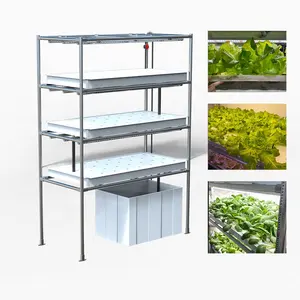 OMANA 2024 Sistema de cultivo hidropónico vertical para interiores Maceta doméstica completa Granja interior