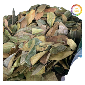 ใบเต้ารู้ดแห้งแบบขายส่ง สีธรรมชาติ ใบเต็ม สะอาดและแห้ง เหมาะสำหรับทำชาและใช้ในกระบวนการผลิต - Product Image 1