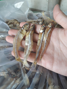 ปลาแอนโชวี่ตากแห้งคุณภาพพรีเมียมสำหรับแปรรูปอาหารจากเวียดนาม - Product Image 3