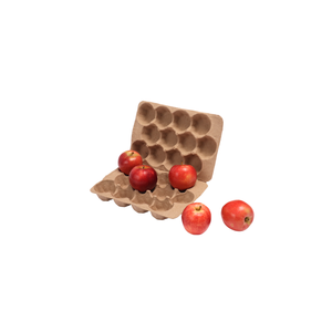 Bandeja de Pulpa Moldeada Compostable y Ecológica para Envasado de Frutas, Bandeja para Frutas Frescas de Fabricante Vietnamita, Cajas de Papel - Product Image 1