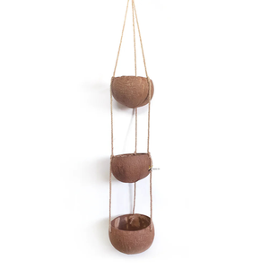 Maceta de Coco Vietnamita Tallada a Mano de Alta Calidad, Ecológica, para Decoración del Hogar y Jardín, Muestra Gratis - Product Image 2