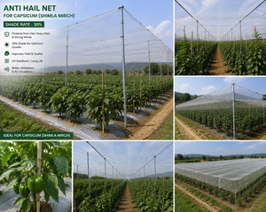 ตาข่ายพลาสติกกันแมลงขนาด 40 เมช สีขาว สำหรับป้องกันพืชผลในโรงเรือนและการปลูกพืชในฟาร์ม - Product Image 2
