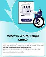 Desarrollo de SaaS de Marca Blanca de Alta Demanda para Optimizar Estrategias de Marketing Eficaces, Software SaaS