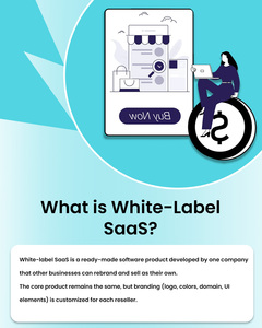 Développement SaaS en marque blanche très demandé pour optimiser les stratégies marketing efficaces - Logiciel SaaS - Product Image 3